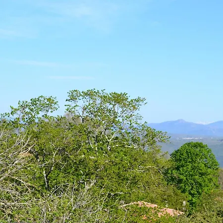 La Azotea *