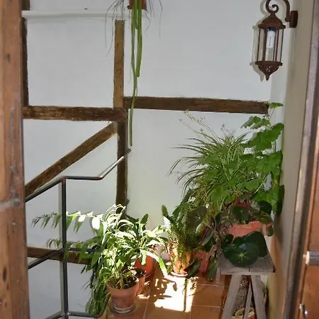 La Azotea Country house Sequeros